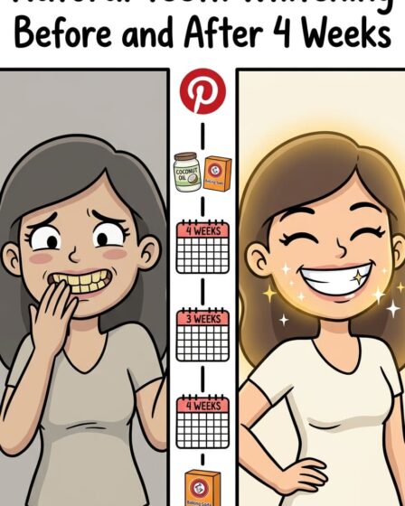 Natural Teeth Whitening at Home: 8 Methods That Work Without Damaging Enamel